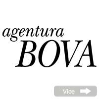 reference BOVA Polygon
